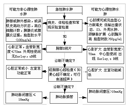 在新窗口打開圖片