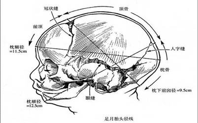 ����̥�^����