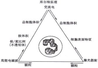 五分類血球分析儀原理示意圖