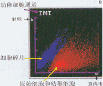 ���ɼ�����λ��