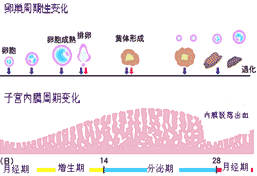 �½������ӌm��Ĥ��������ֳ���ٵ�������׃��