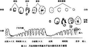 �½������ӌm��Ĥ��������ֳ���ٵ�������׃��