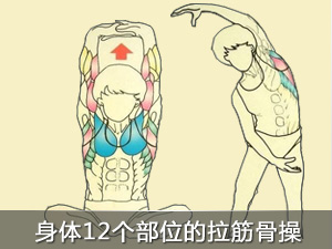 ����ǲ�(12������)�����������wƣ��