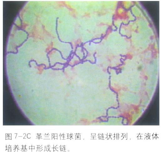 ��ē������