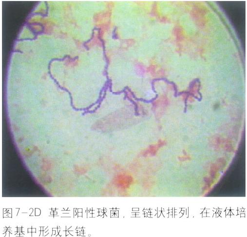 ��ē������