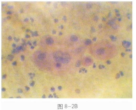 ��ҊÓ�会���D�V