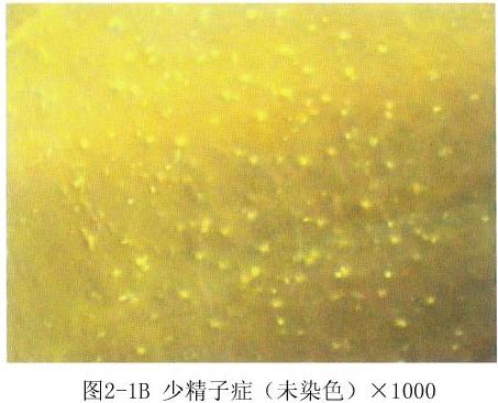 ��Һ�D�V����������