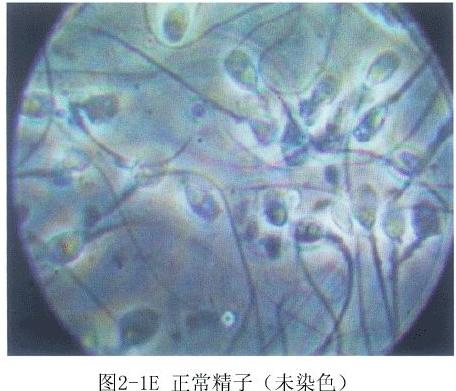 ��Һ�D�V����������