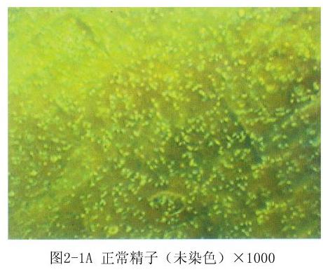 ��Һ�D�V����������