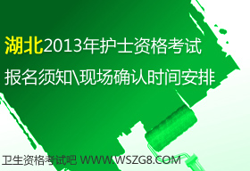 2013�����ʡ�oʿ�̘I�Y��ԇ�����r�g���F���_�J�r�g����