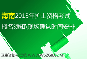 2013�꺣��ʡ�oʿ�̘I�Y��ԇ�����r�g���F���_�J�r�g����