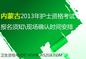 2013����ɹ��oʿ�̘I�Y��ԇ�����r�g���F���_�J�r�g����