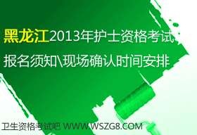 2013�������ʡ�oʿ�̘I�Y��ԇ�����r�g���F���_�J�r�g����