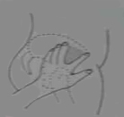 圖示m.7666av.com肌肉注射定位法最合適的人是